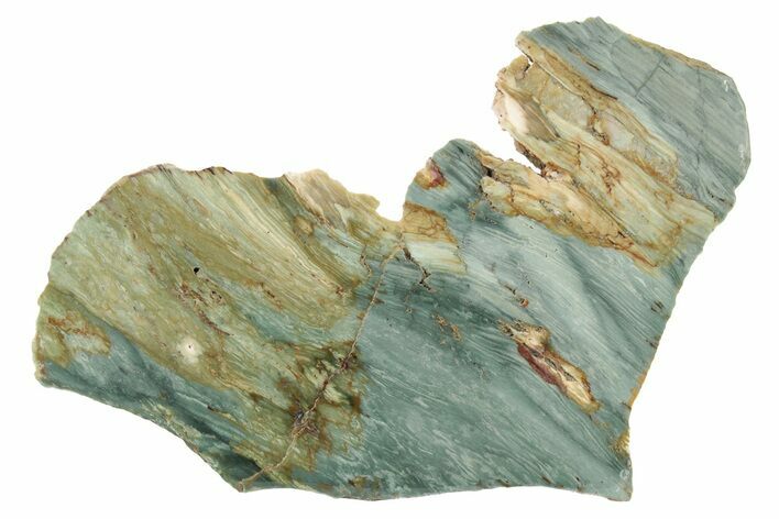 Gary Green Jasper (Larsonite) Bog Wood Slab - Oregon #227632